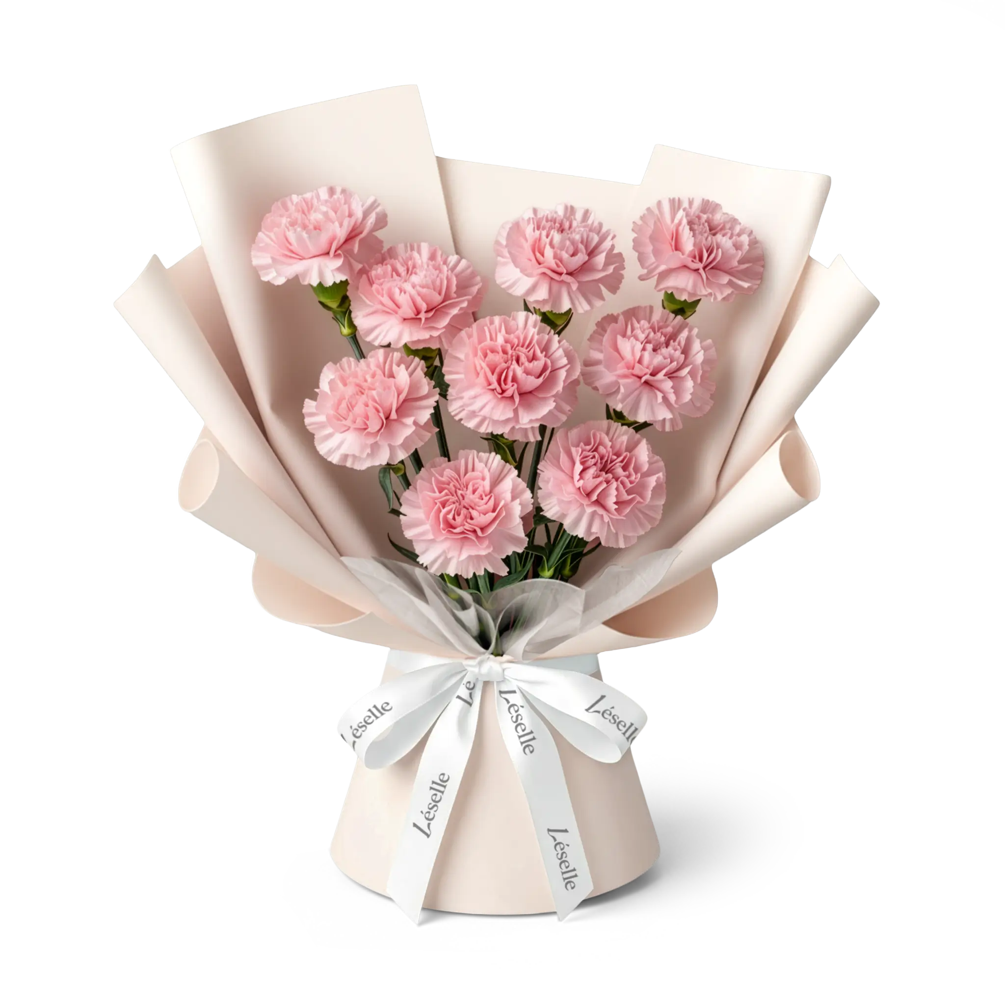 Bouquet of soft pink carnations wrapped in nude pink paper with a white ribbon on a transparent background