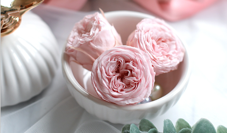 The types and language of preserved flowers (I)