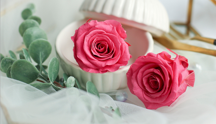 The type and language of preserved flowers (II)