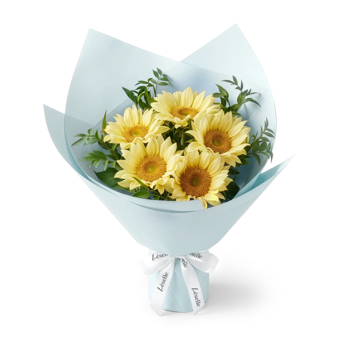 Bouquet of cream-colored sunflowers wrapped in pale blue paper with a white ribbon on a transparent background