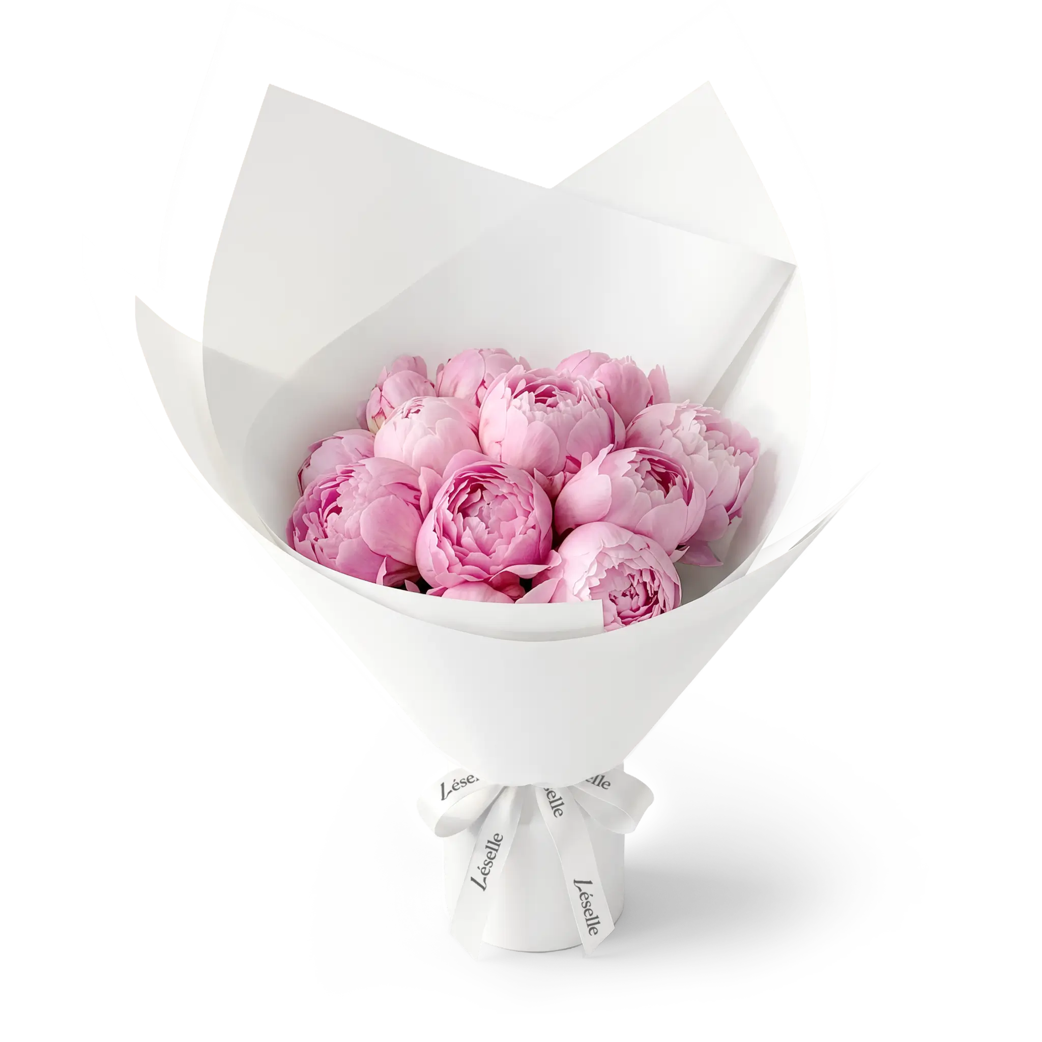 Bouquet of pink peonies wrapped in white paper with a white ribbon on a transparent background