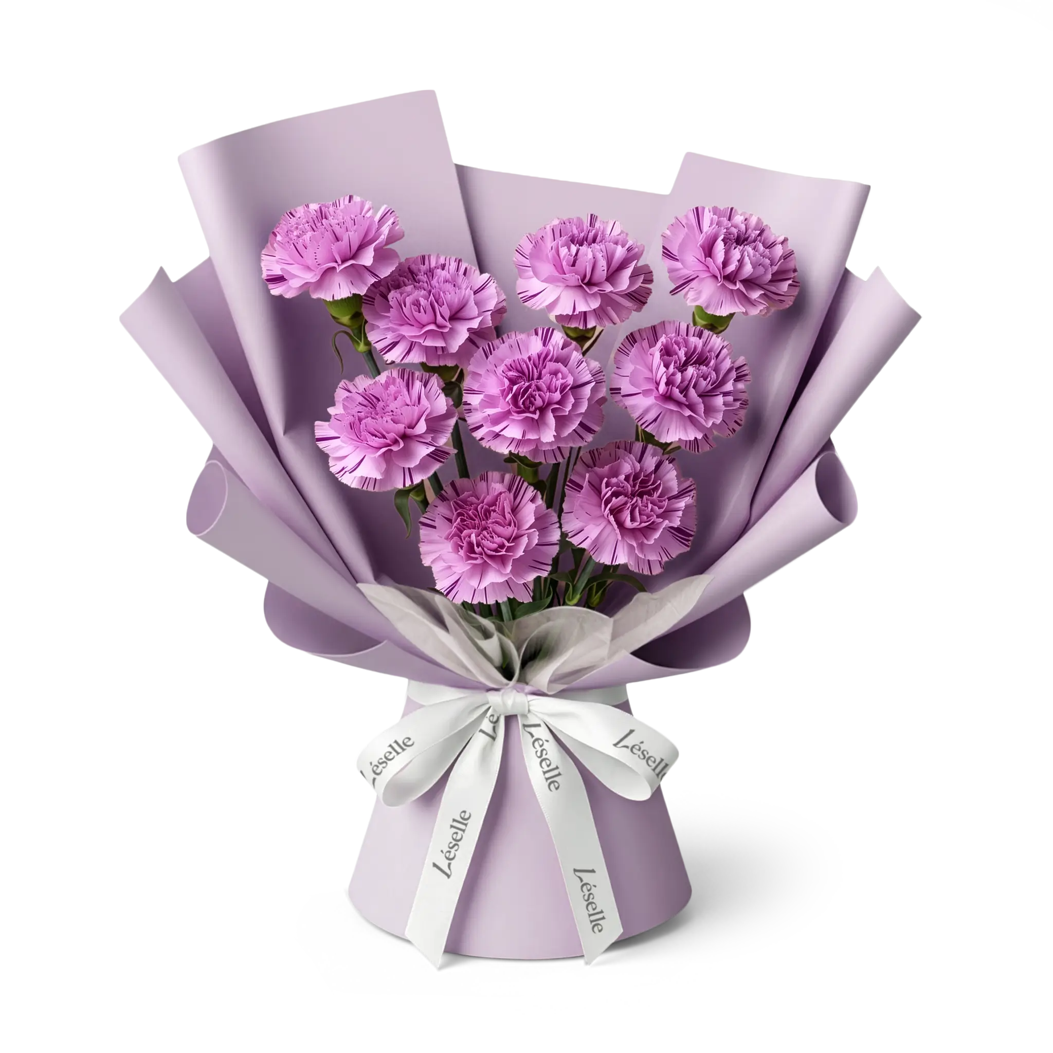 Bouquet of purple carnations wrapped in lilac paper with a white ribbon on a transparent background