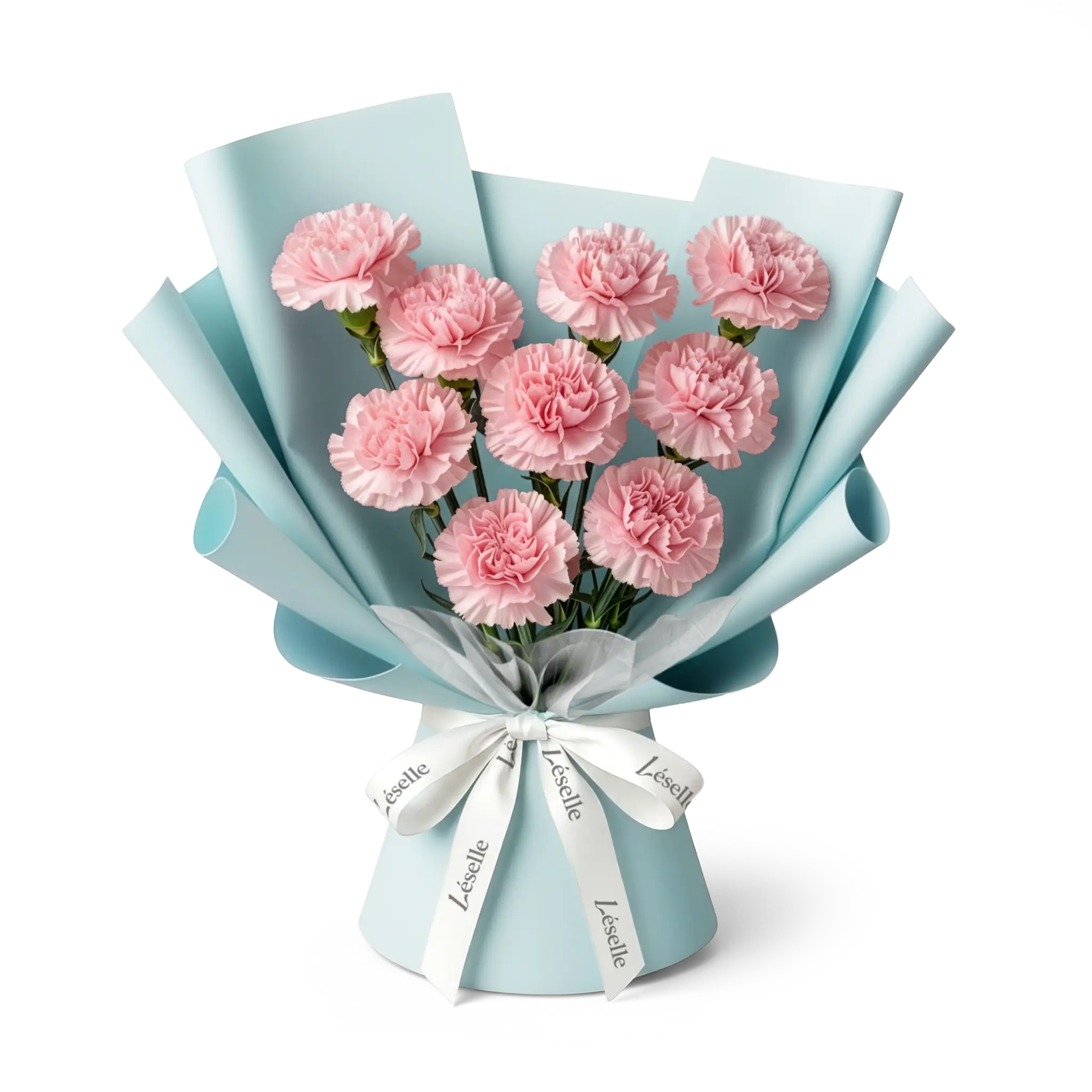 Bouquet of soft pink carnations wrapped in glacial aqua paper with a white ribbon on a transparent background