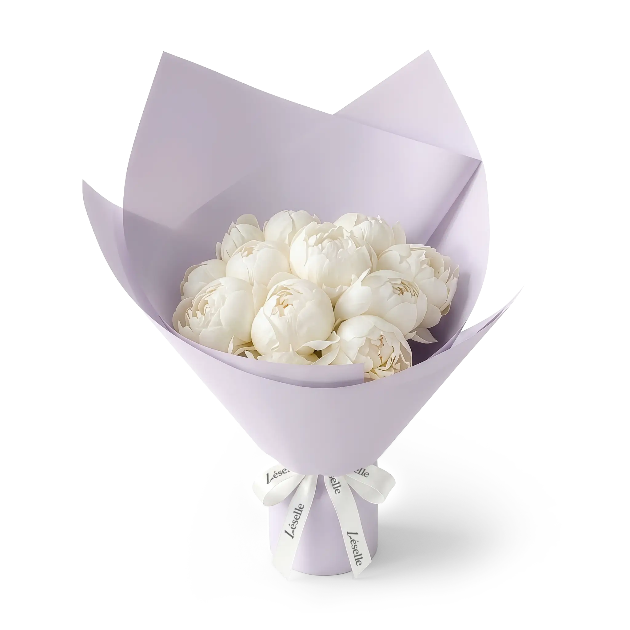 Bouquet of white peonies wrapped in lavender paper with a white ribbon on a transparent background