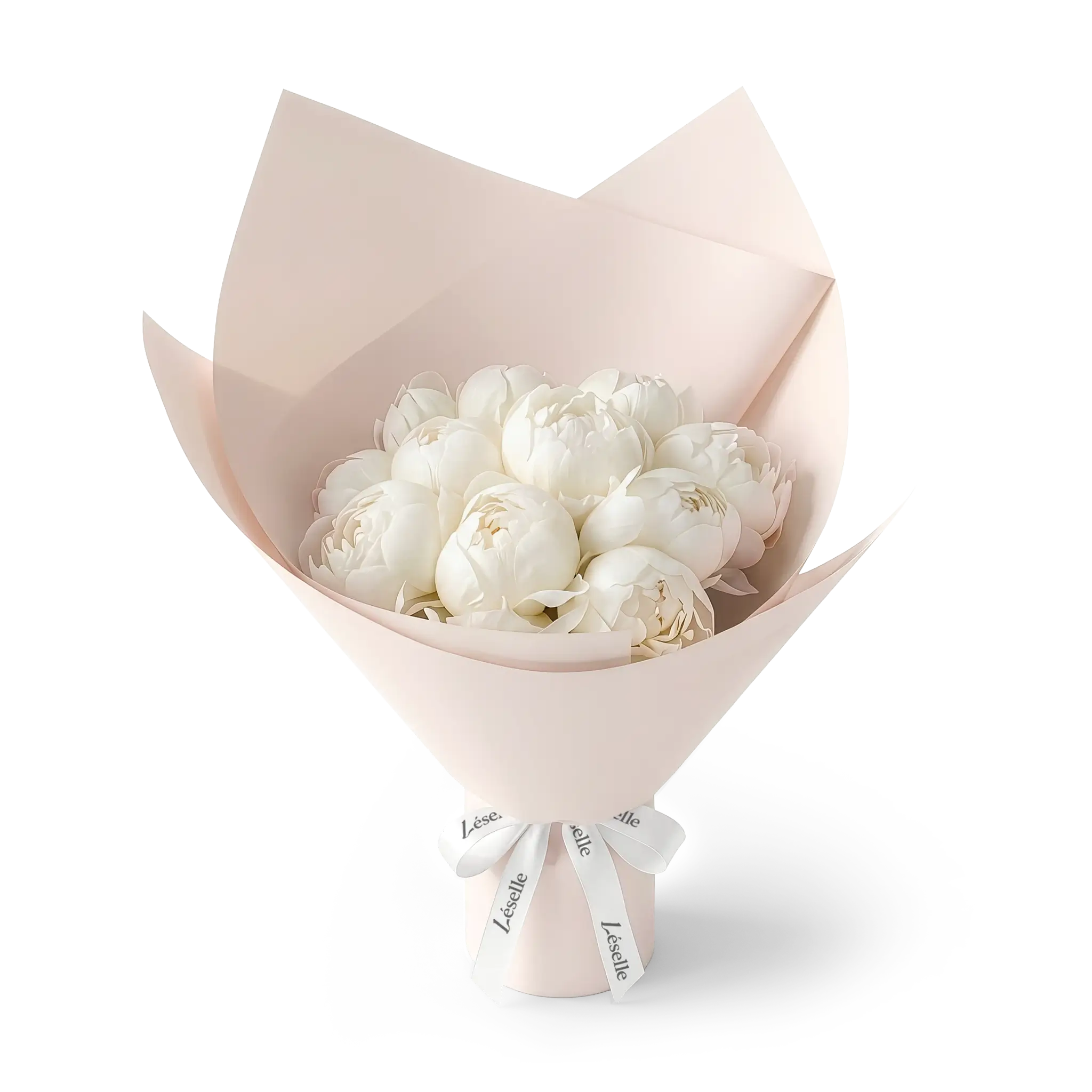 Bouquet of white peonies wrapped in pink paper with a white ribbon on a transparent background
