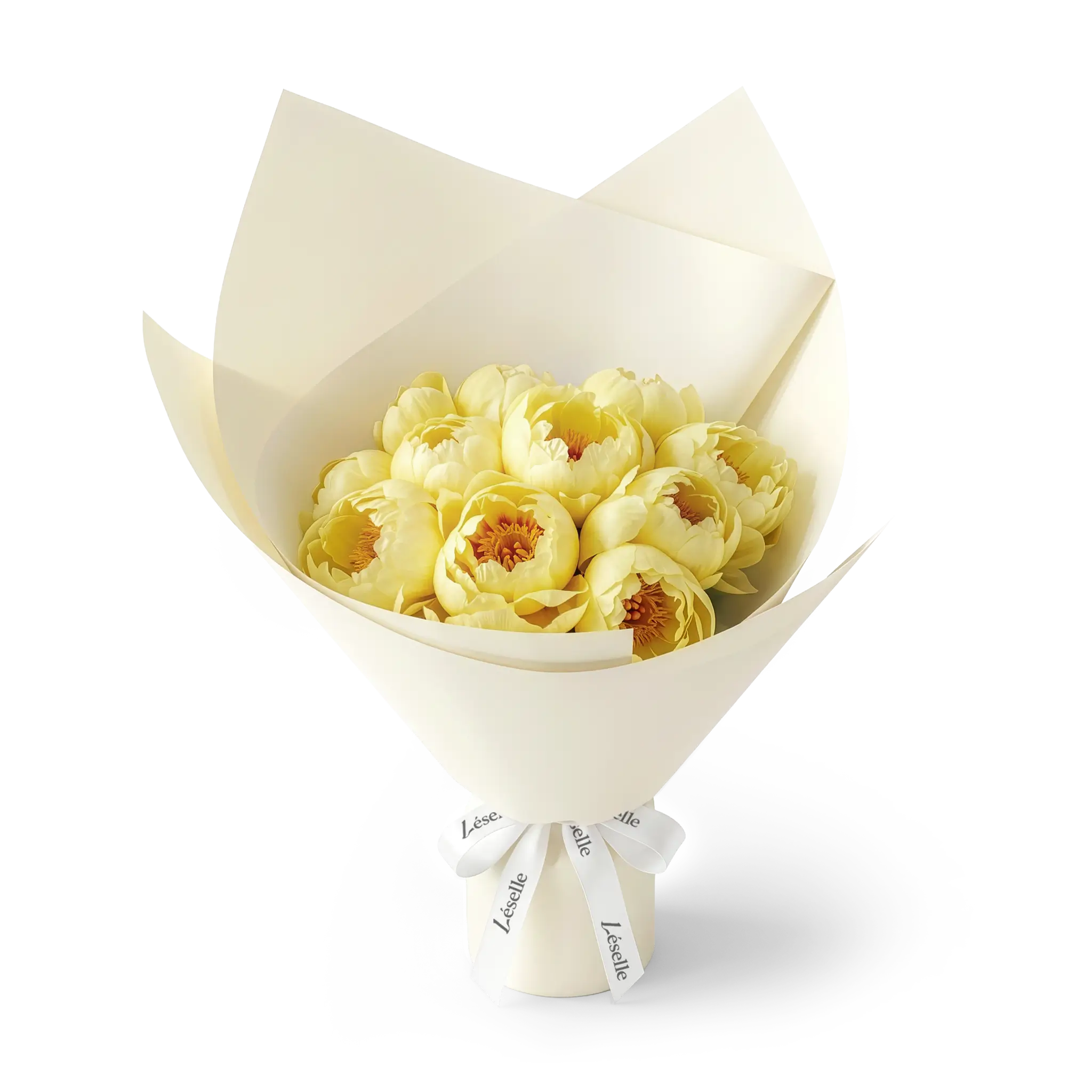 Bouquet of yellow peonies wrapped in cream white paper with a white ribbon on a transparent background