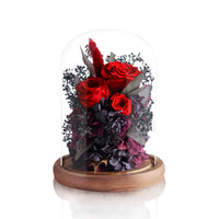 Preserved Flower in Glass Dome 紅玫瑰永生花玻璃罩擺設