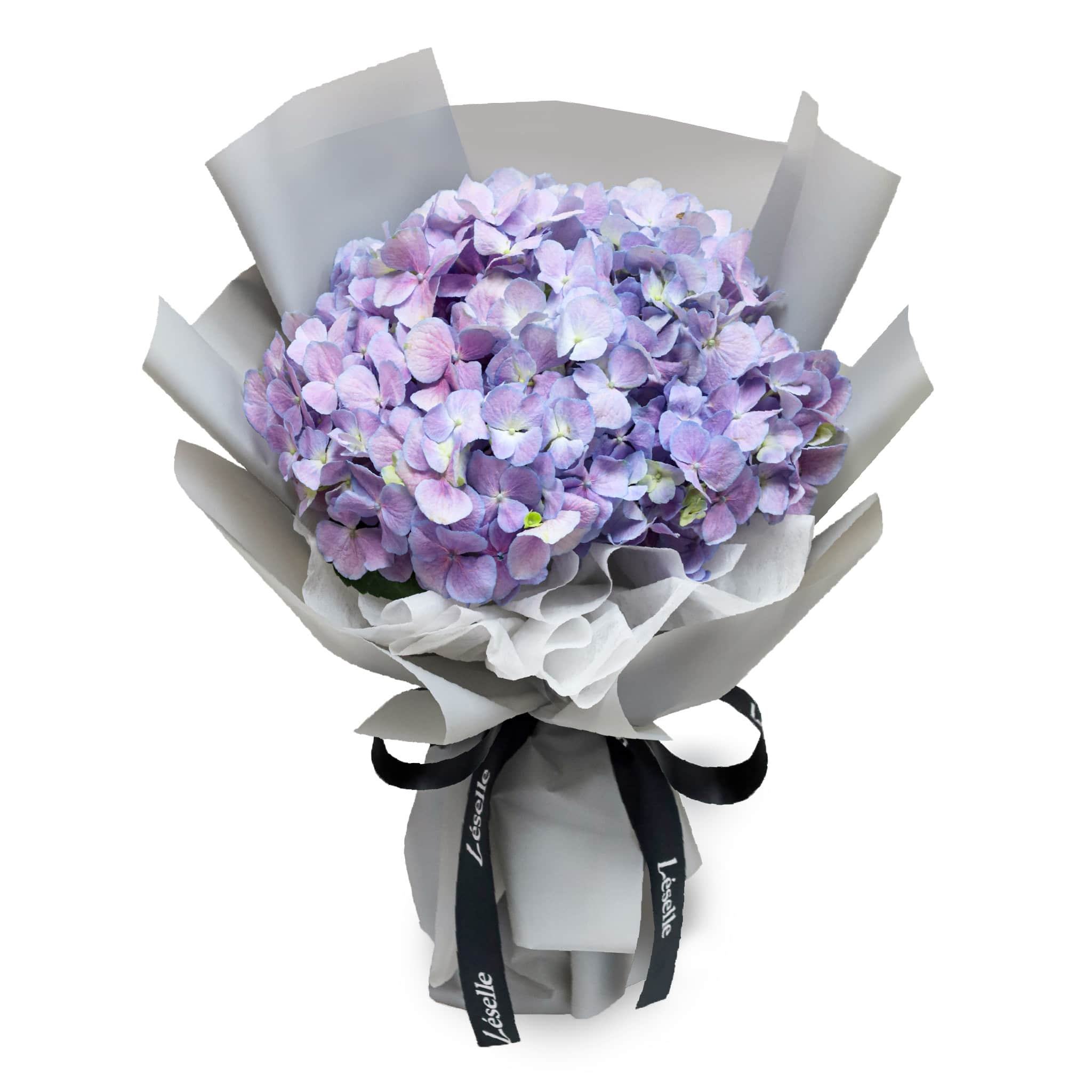 6+ Hydrangea Flower Bouquet Purple Hydrangea Bouquet