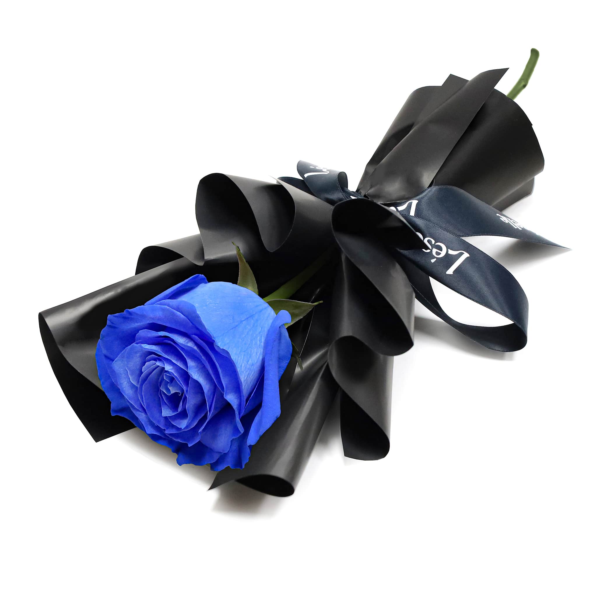 Single Blue Roses Pictures