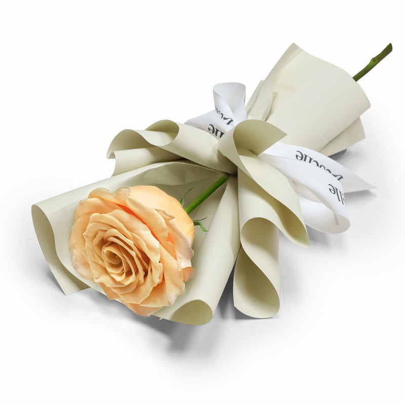 Fresh Flower Bouquet - Single Champagne Rose