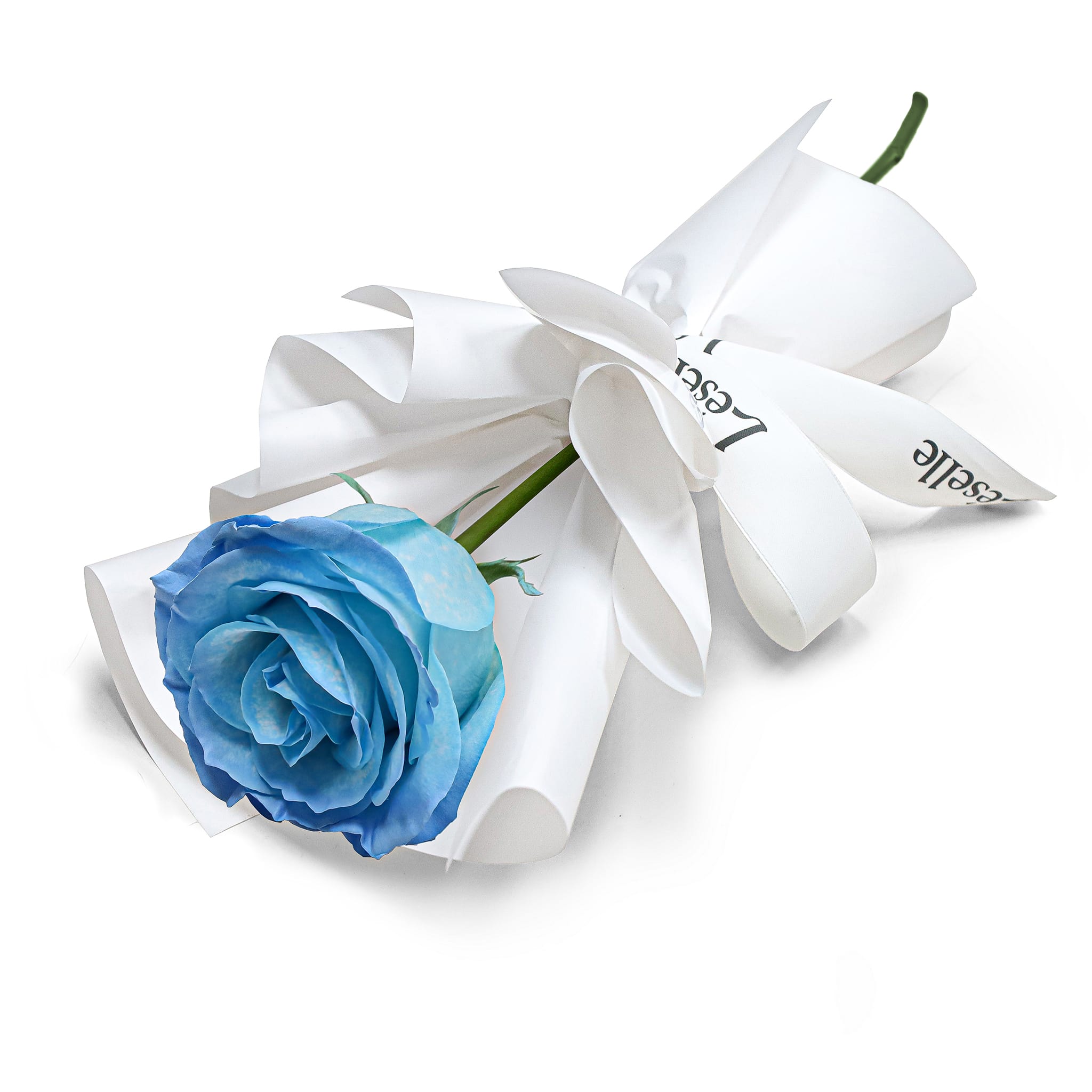 Single Blue Rose Flower