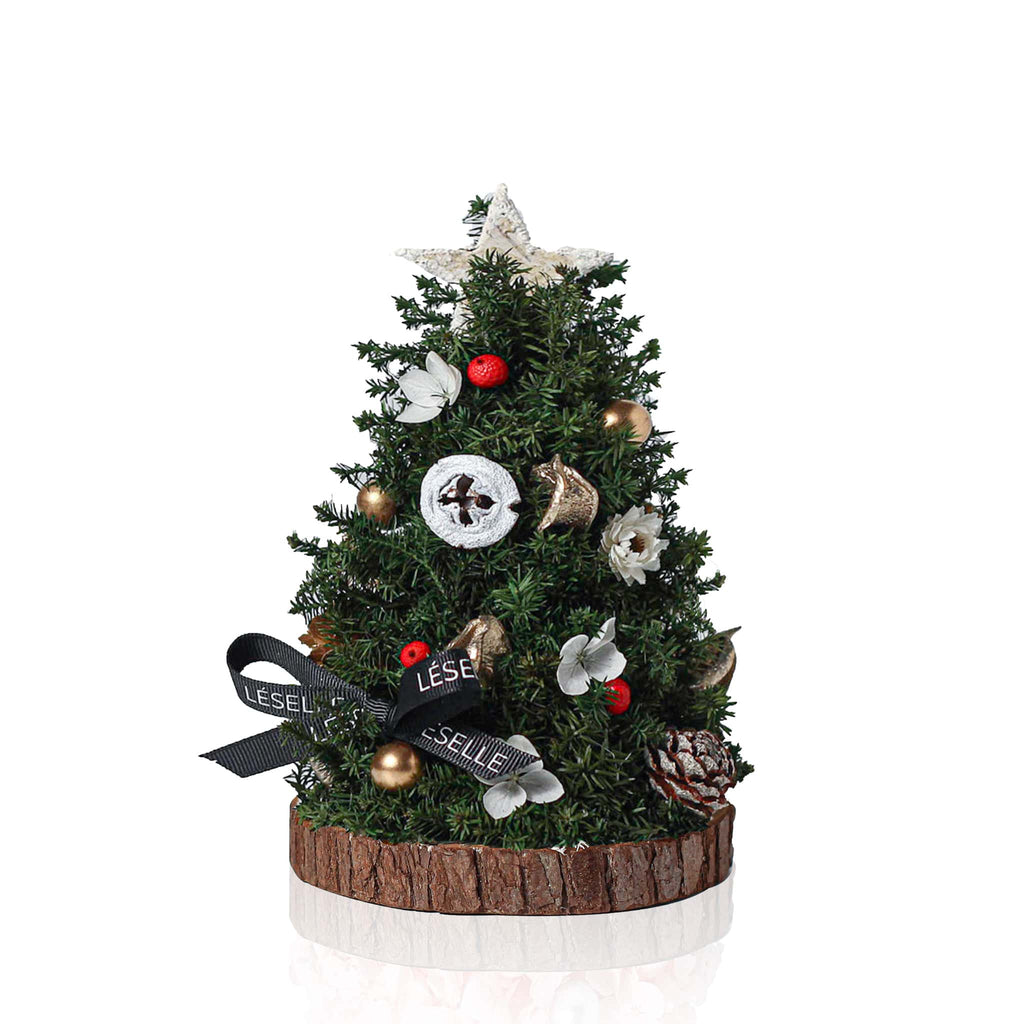 Mini Eternal Christmas Tree 迷你永生花聖誕樹