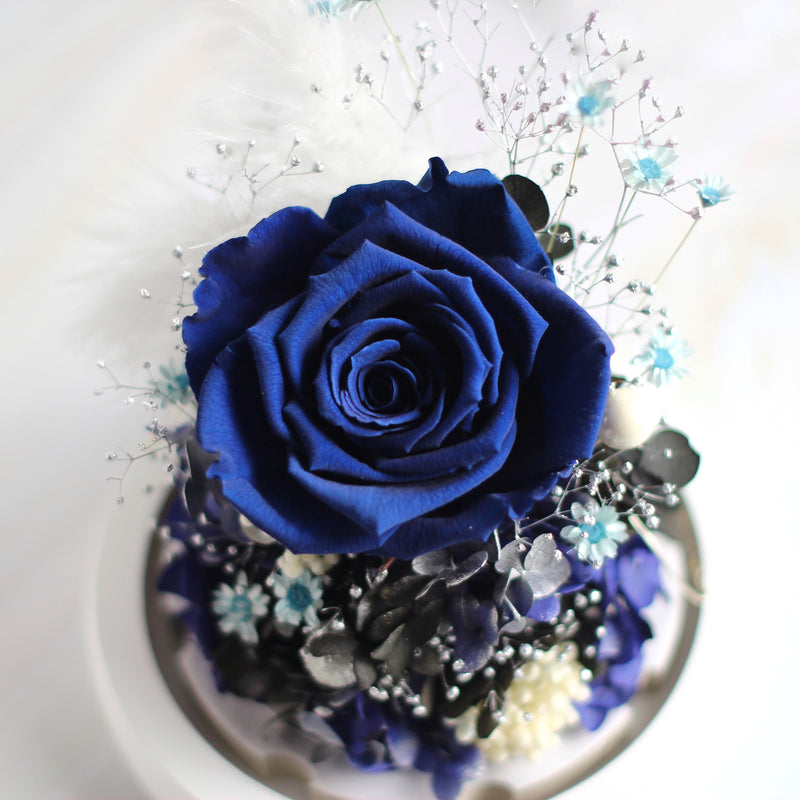 Mini Rose Dark Blue｜Forever Rose｜Eternal Rose｜Preserved Flower｜Léselle
