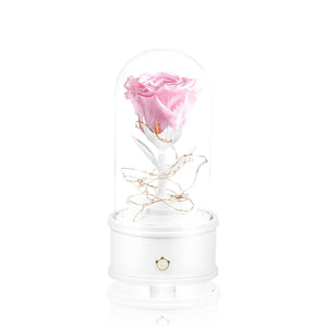 Eternal Rose Bluetooth Speaker 保鮮花永生花藍牙喇叭