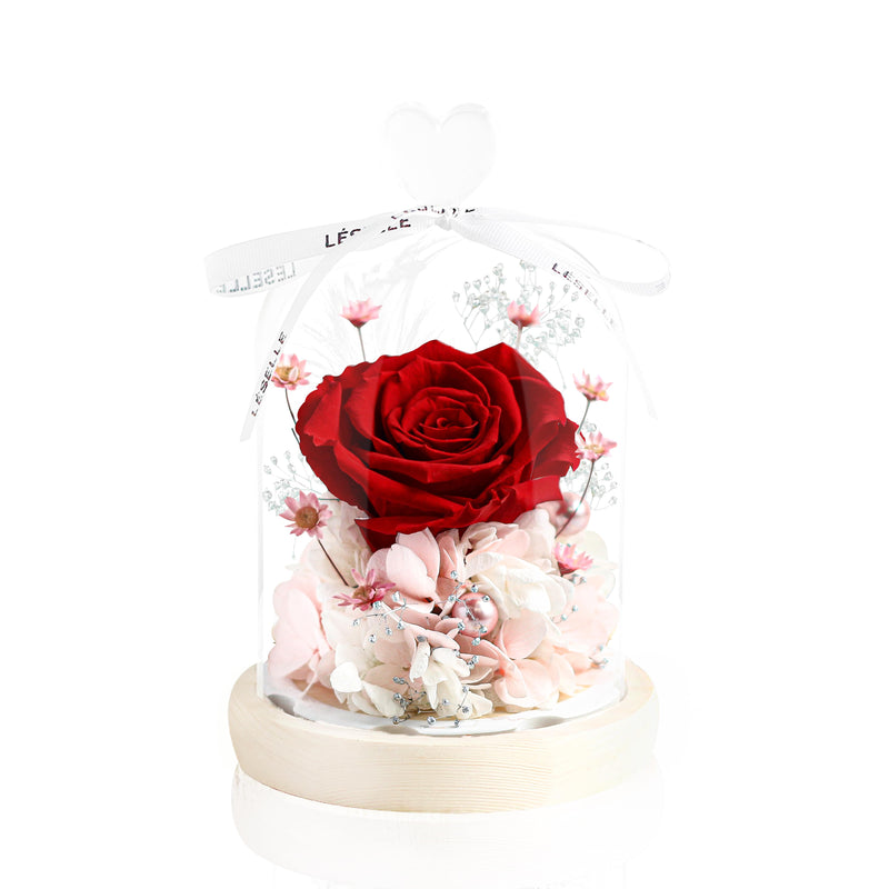 Mini Preserved Rose in Glass Dome 迷你玫瑰永生花保鮮花擺設
